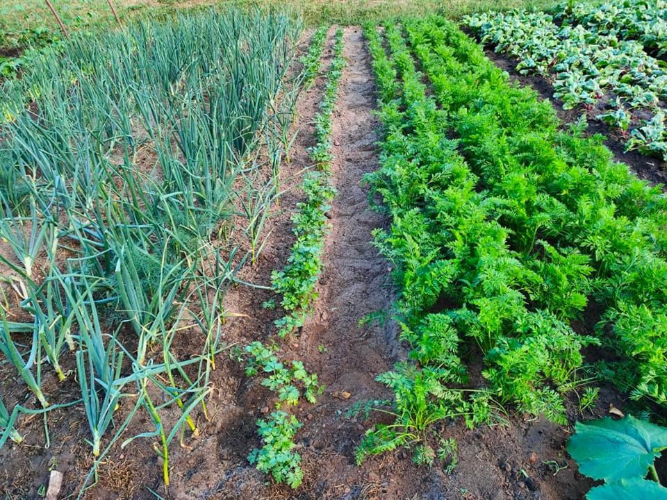 Agrowinnica Borzytuchom Exteriér fotografie